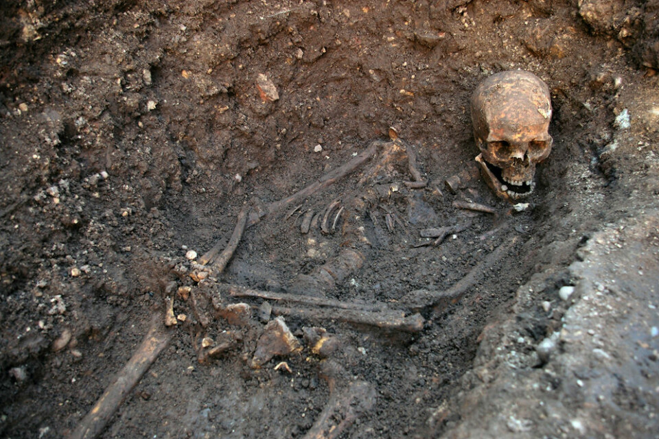 Levningen etter kong Richard III av England. Kongen ble begravd i Leichester i august 1485. (Foto: University of Leicester)