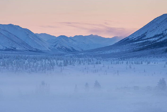 Skoger ved Ojmjakon i Sibir. (Foto: Maarten Takens/Wikimedia Commons) Skoger ved Ojmjakon i Sibir. (Foto: Maarten Takens/Wikimedia Commons)