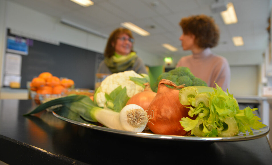 Bjørg Korsnes og Camilla Sandvik er aktuelle med tredje utgave av læreboken «Mat og helse».
