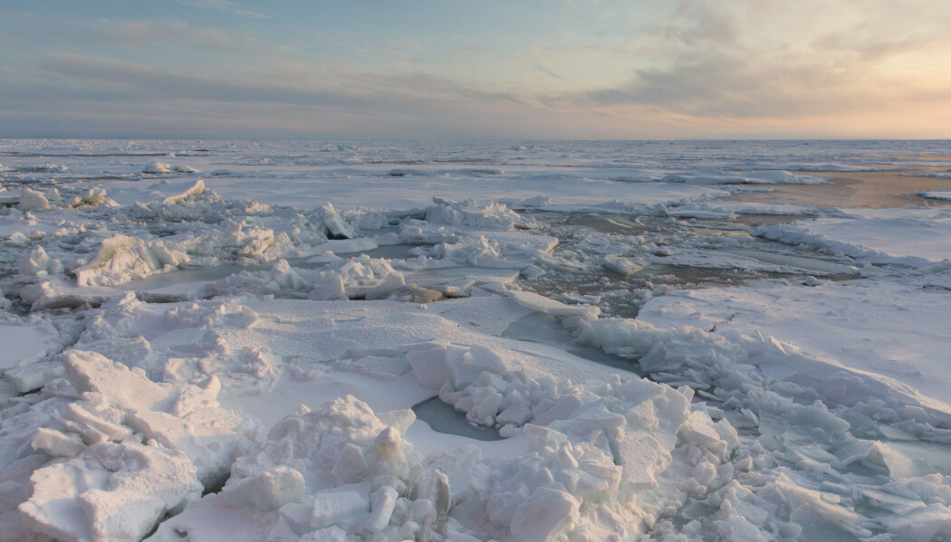 Arctic Sea Ice, September 29, 2019, Alfred-Wegener-Institut / Sebastian Grote (CC-BY 4.0) Arctic Sea Ice, September 29, 2019, Alfred-Wegener-Institut / Sebastian Grote (CC-BY 4.0)