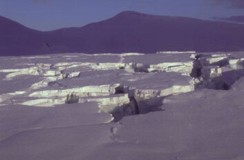 "Fridtjovbreen på Svalbard surget på 1990-tallet, som gjorde at breen sprakk voldsomt opp og ble ufarbar" "Fridtjovbreen på Svalbard surget på 1990-tallet, som gjorde at breen sprakk voldsomt opp og ble ufarbar"