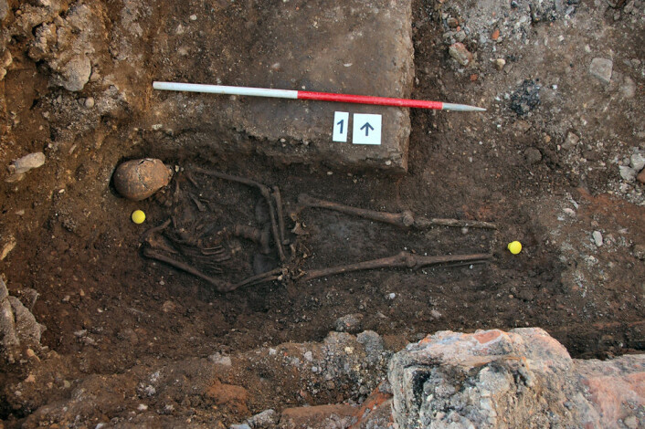 Kongen ligger stablet opp mot den ene veggen i grava. (Foto: University of Leicester) Kongen ligger stablet opp mot den ene veggen i grava. (Foto: University of Leicester)