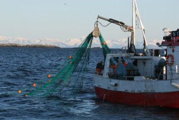 (Illustrasjonsfoto: Frank Gregersen) (Illustrasjonsfoto: Frank Gregersen)
