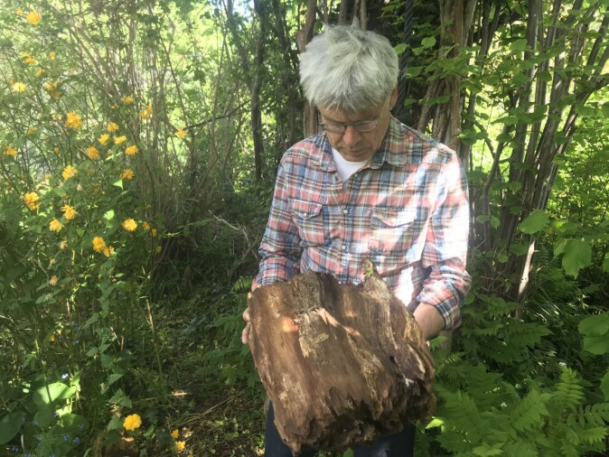 «Skogen» består av et par trær, noen busker og en skogbunn laget av kvist. «Skogen» består av et par trær, noen busker og en skogbunn laget av kvist.