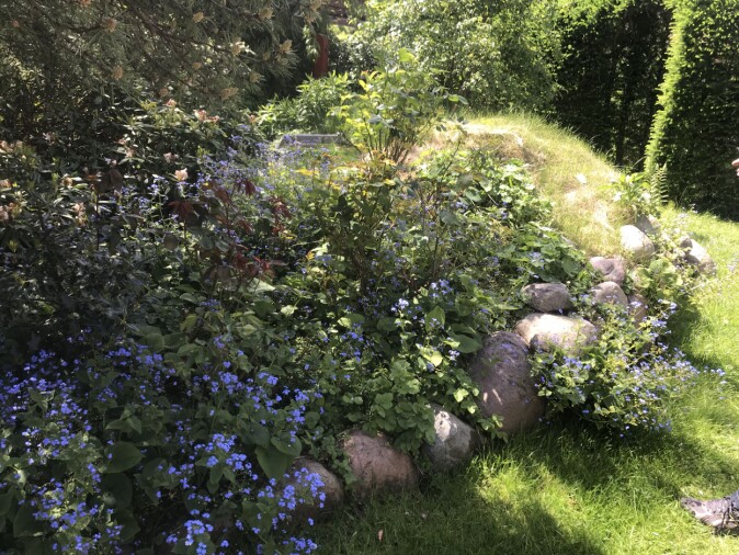 Liten høyde med vannhull. Liten høyde med vannhull.