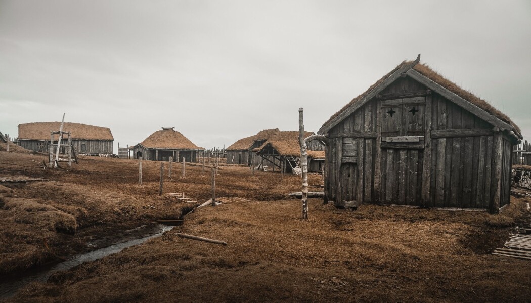 En modell av en vikinggård, laget for et filmsett på Island i Höfn. En modell av en vikinggård, laget for et filmsett på Island i Höfn.