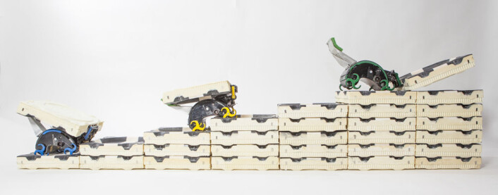 (Foto: Eliza Grinnell, Harvard School of Engineering and Applied Sciences) (Foto: Eliza Grinnell, Harvard School of Engineering and Applied Sciences)