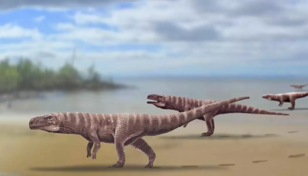 For 120 millioner år siden levde tobeinte krokodiller langs kysten av det som i dag er Sør-Korea, ifølge ny forskning.