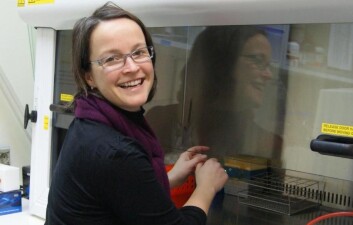 Mari Moren forsker til daglig på knøttsmå fiskeembryo. (Foto: NIFES) Mari Moren forsker til daglig på knøttsmå fiskeembryo. (Foto: NIFES)