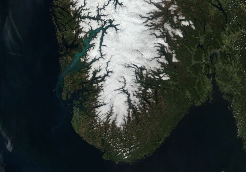 Why the fjords turn green
