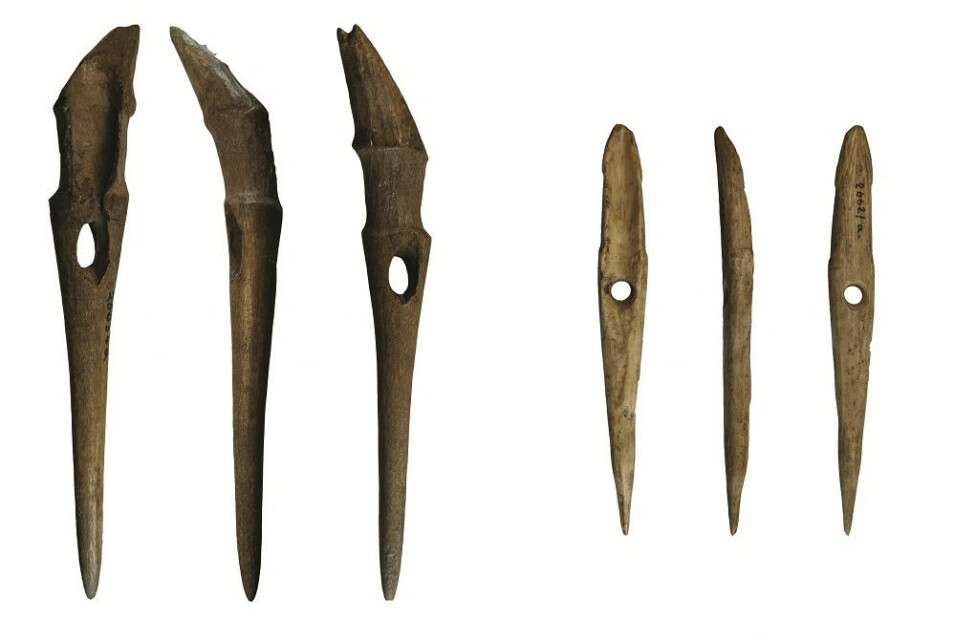 Dette er to av harpunene som forskerne har funnet under åkeren på Jortveit gård. De var trolig i bruk en gang for mellom 5700 og 4500 år siden.