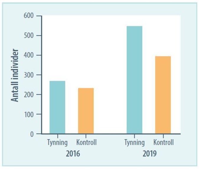 Gjennomsnittlig antall individer av insekter som biller, sommerfugler og blomsterfluer på tynnede flater og urørte kontrollflater før (2016) og etter (2019) skjøtsel. Gjennomsnittlig antall individer av insekter som biller, sommerfugler og blomsterfluer på tynnede flater og urørte kontrollflater før (2016) og etter (2019) skjøtsel.