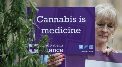 Forsker: – Det er snart for sent å finne ut om cannabis virker som medisin