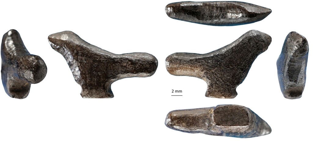 Bildet viser figuren fra flere forskjellige vinkler. Legg merke til målestokken i midten av bildet. Bildet viser figuren fra flere forskjellige vinkler. Legg merke til målestokken i midten av bildet.