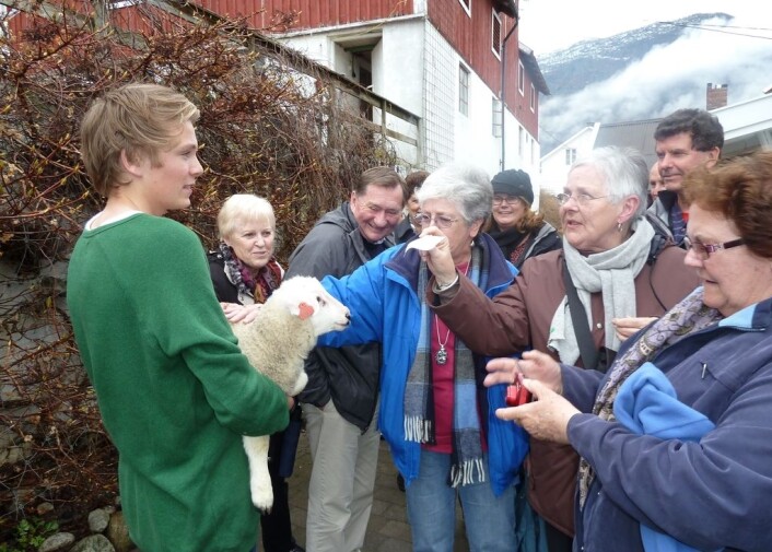 Det treng ikkje bli konflikt mellom reiseliv og lokalsamfunn. Her er turistar i møte med eit lokalt lam. (Foto: Roar W. Vangsnes/Distriktssenteret) Det treng ikkje bli konflikt mellom reiseliv og lokalsamfunn. Her er turistar i møte med eit lokalt lam. (Foto: Roar W. Vangsnes/Distriktssenteret)
