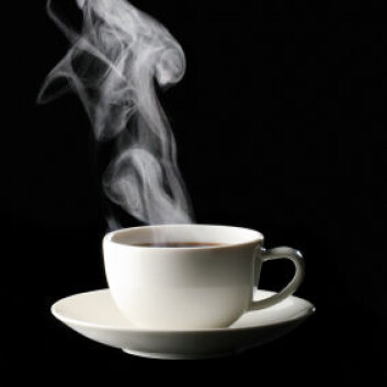Kaffe inneholder mye antioksidanter. Det kan være forklaringen på noen av de positive helseeffektene av kaffedrikking. (Illustrasjonsfoto: iStockphoto) Kaffe inneholder mye antioksidanter. Det kan være forklaringen på noen av de positive helseeffektene av kaffedrikking. (Illustrasjonsfoto: iStockphoto)