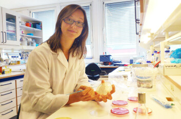 Elin Halbach Røssvoll. (Foto: Andreas R. Graven) Elin Halbach Røssvoll. (Foto: Andreas R. Graven)