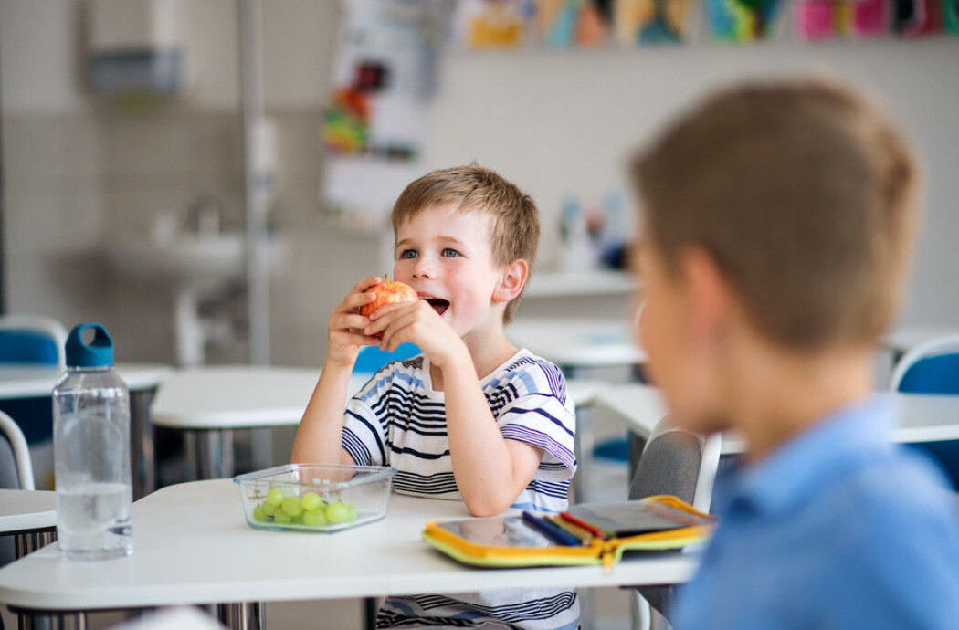 Tidligere forskning har vist at tiltak som gratis skolefrukt har god effekt, men hvor lenge varer effekten? Tidligere forskning har vist at tiltak som gratis skolefrukt har god effekt, men hvor lenge varer effekten?