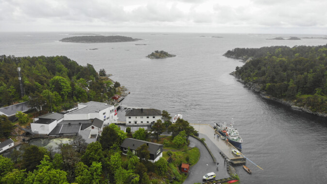 Her, utenfor forskningsstasjonen Flødevigen, ligger et hummerreservat. Flere reservater er med i studien. Her, utenfor forskningsstasjonen Flødevigen, ligger et hummerreservat. Flere reservater er med i studien.