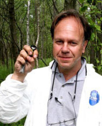 Timothy A. Mousseau med en kjøttmeis i skogen nær Tsjernobyl. (Foto: University of South Carolina) Timothy A. Mousseau med en kjøttmeis i skogen nær Tsjernobyl. (Foto: University of South Carolina)