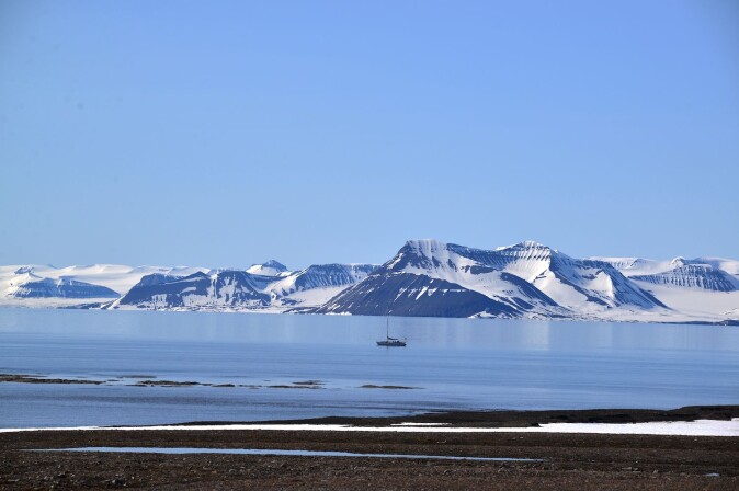 Seilbåten Sillage, hjemmet til forskerne da de reiste rundt på Svalbard. Foto: Svalbardrein. Seilbåten Sillage, hjemmet til forskerne da de reiste rundt på Svalbard. Foto: Svalbardrein.