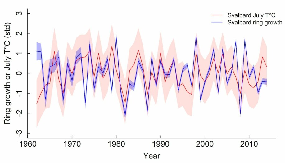 Denne grafikken viser hvordan veksten til polarvier er knyttet opp mot julitemperaturene.