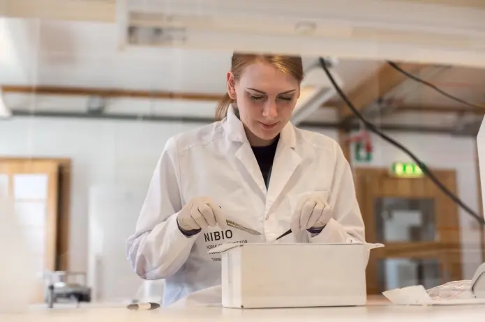 Ida Fløystad analyserer DNA fra brunbjørn. Ida Fløystad analyserer DNA fra brunbjørn.