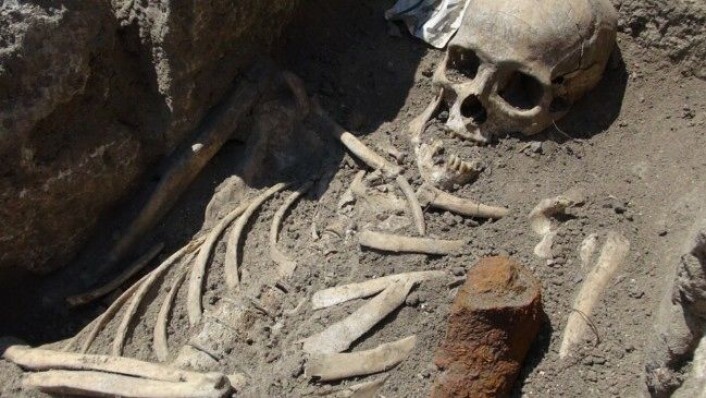 To skjeletter, funnet med jernstenger gjennom brystet, har fått bulgarske arkeologer til å tenke på vampyrer. (Foto: National Museum of History, Bulgaria) To skjeletter, funnet med jernstenger gjennom brystet, har fått bulgarske arkeologer til å tenke på vampyrer. (Foto: National Museum of History, Bulgaria)