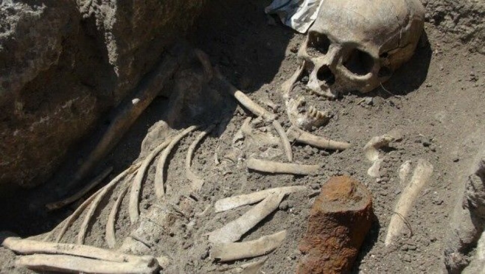 To skjeletter, funnet med jernstenger gjennom brystet, har fått bulgarske arkeologer til å tenke på vampyrer. (Foto: National Museum of History, Bulgaria)