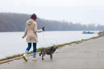 Den er kjent som mennesket sin besteven, og står alltid trufast ved vår side. Kan det vere vi vert meir påverka av hunden vår enn vi trur? (Foto: Photos.com) Den er kjent som mennesket sin besteven, og står alltid trufast ved vår side. Kan det vere vi vert meir påverka av hunden vår enn vi trur? (Foto: Photos.com)