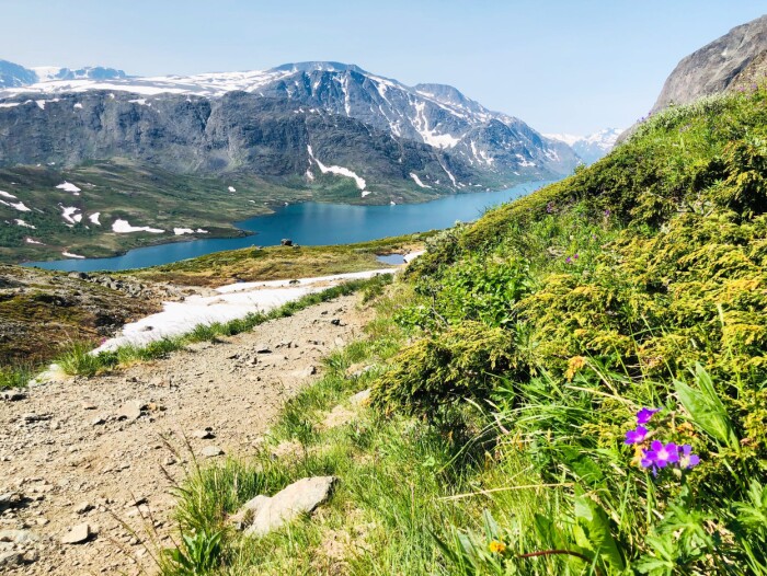 Besseggen. Norges mest brukte sti i fjellet. Men ikke mye folk så langt i sommer. Besseggen. Norges mest brukte sti i fjellet. Men ikke mye folk så langt i sommer.