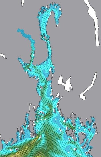 Slik kan strømstyrken nå varsles lengst inn i Oslofjorden. Her er oppløsningen 800 meter. (Foto: (Meteorologisk institutt)) Slik kan strømstyrken nå varsles lengst inn i Oslofjorden. Her er oppløsningen 800 meter. (Foto: (Meteorologisk institutt))
