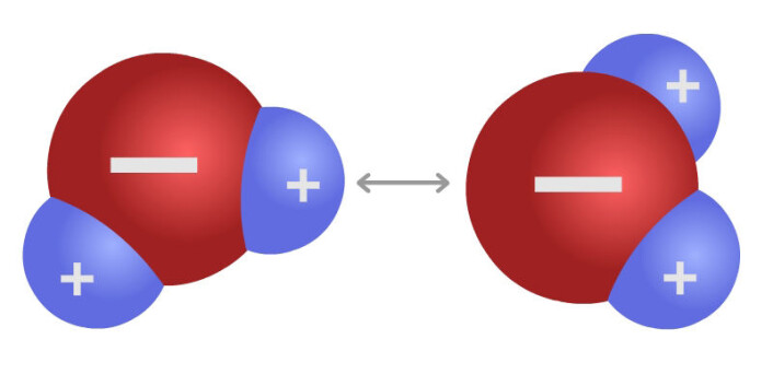 To vannmolekyler. Pluss-ladningene i hydrogenet trekker på minus-ladningen i oksygenet. Dette kalles en hydrogenbinding, og gir både adhesjon og kohesjon i vannet. (Foto: (Figur: Arnfinn Christensen, forskning.no)) To vannmolekyler. Pluss-ladningene i hydrogenet trekker på minus-ladningen i oksygenet. Dette kalles en hydrogenbinding, og gir både adhesjon og kohesjon i vannet. (Foto: (Figur: Arnfinn Christensen, forskning.no))