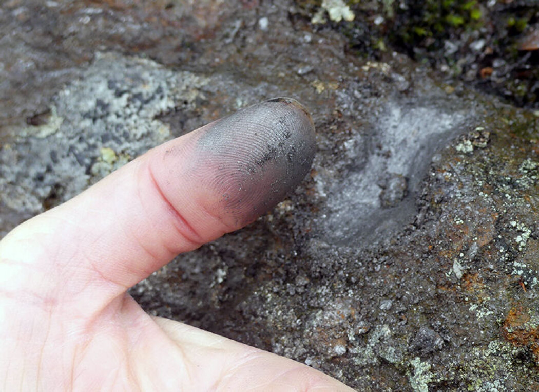 Det er ventet økt behov for industrimineralet grafitt i årene framover. Det er ventet økt behov for industrimineralet grafitt i årene framover.