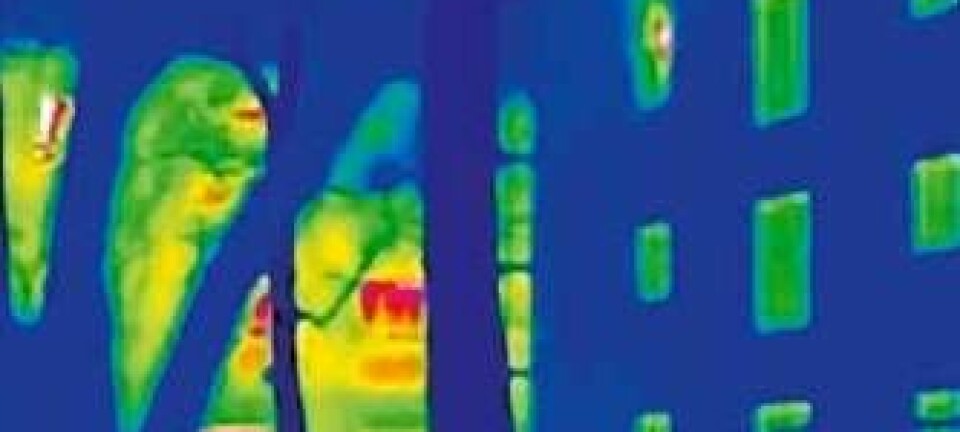 Dette infrarøde fotoet viser varmestråling fra ytterveggene til et passivhus (til høyre) og et vanlig hus (til venstre). Jo mer stråling, jo høyere er temperaturen. (Illustrasjon: Passivhaus Institut)