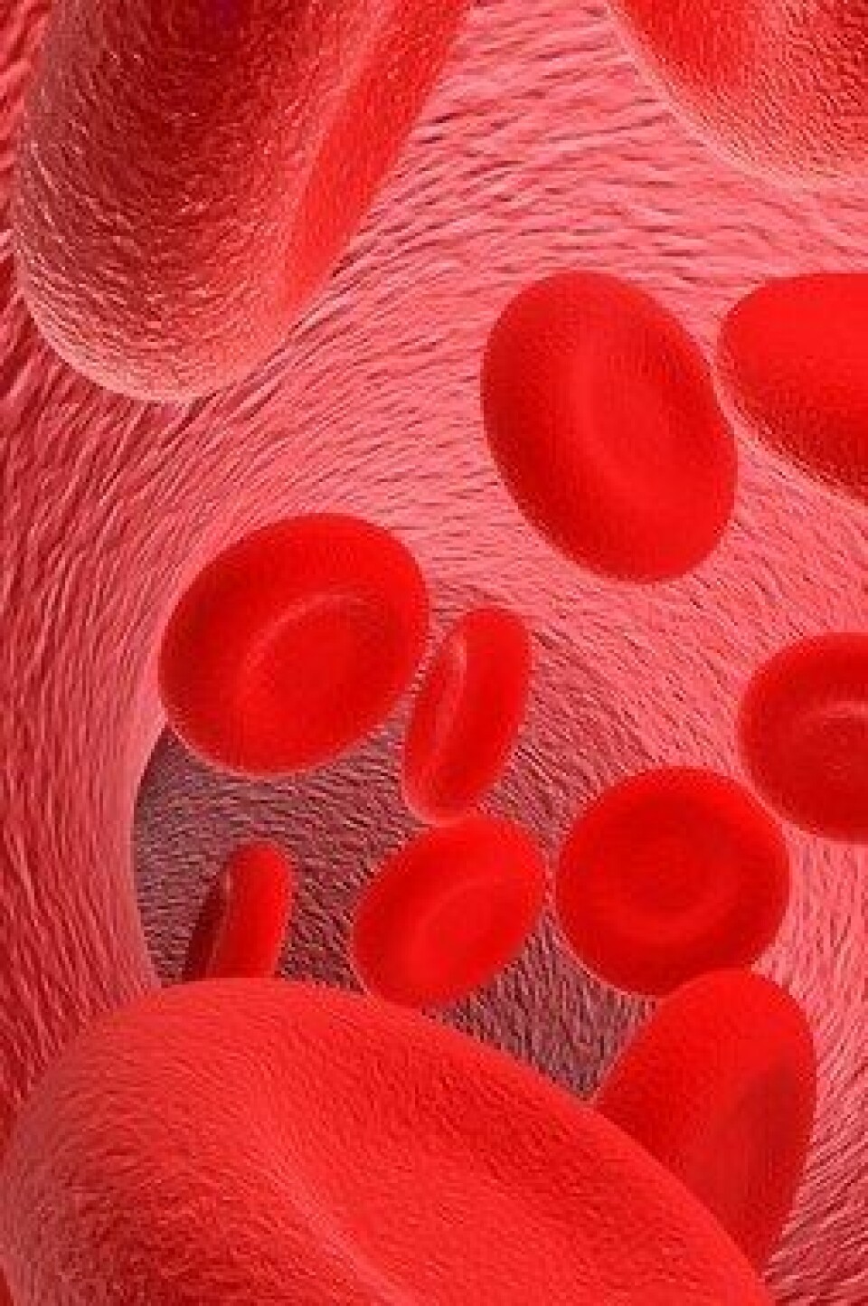 Nanopartikkelen påvirke blodårene slik at de blir dårligere til å utvide seg. (Foto: Colourbox)