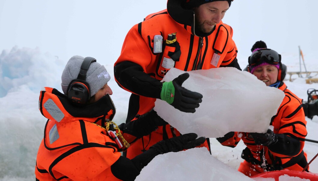 Forskning og målinger innebærer også sjauing og hardt fysisk arbeid. Foto: Lisa Grosfeld Forskning og målinger innebærer også sjauing og hardt fysisk arbeid. Foto: Lisa Grosfeld