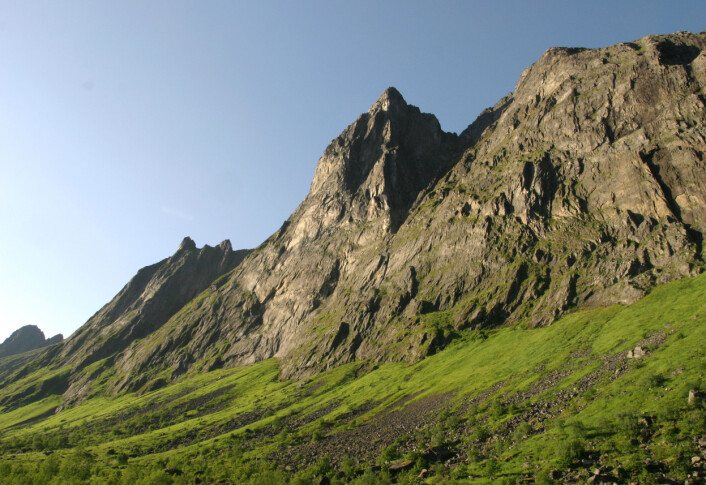 Dei mange skredprega liene langs fjellsidene gjev eit stort tilfang til den fruktbare Tromsnaturen. Frå Geitskarddalen, Ersfjorden i Berg kommune. (Foto: Per K. Bjørklund/Skog og landskap) Dei mange skredprega liene langs fjellsidene gjev eit stort tilfang til den fruktbare Tromsnaturen. Frå Geitskarddalen, Ersfjorden i Berg kommune. (Foto: Per K. Bjørklund/Skog og landskap)
