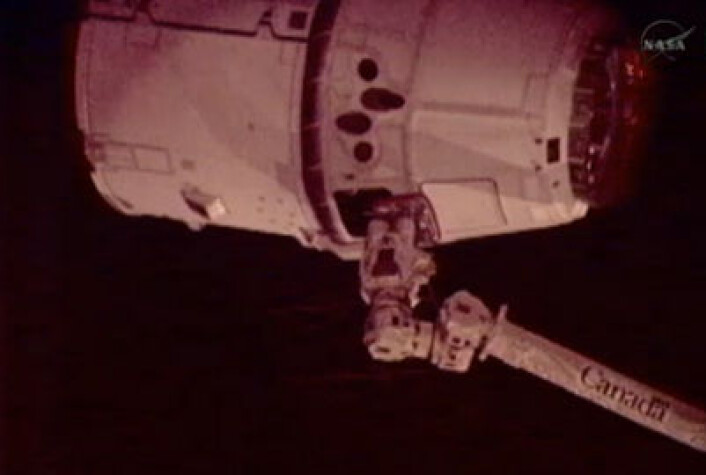 Dragon-kapselen ble fanget inn av robotarmen på ISS, 25.mai 15:56 norsk tid. (Foto: Fra NASA TV-overføring) Dragon-kapselen ble fanget inn av robotarmen på ISS, 25.mai 15:56 norsk tid. (Foto: Fra NASA TV-overføring)