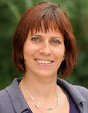 Randi Bertelsen er forsker ved Folkehelseinstituttet. (Foto: NIEHS) Randi Bertelsen er forsker ved Folkehelseinstituttet. (Foto: NIEHS)