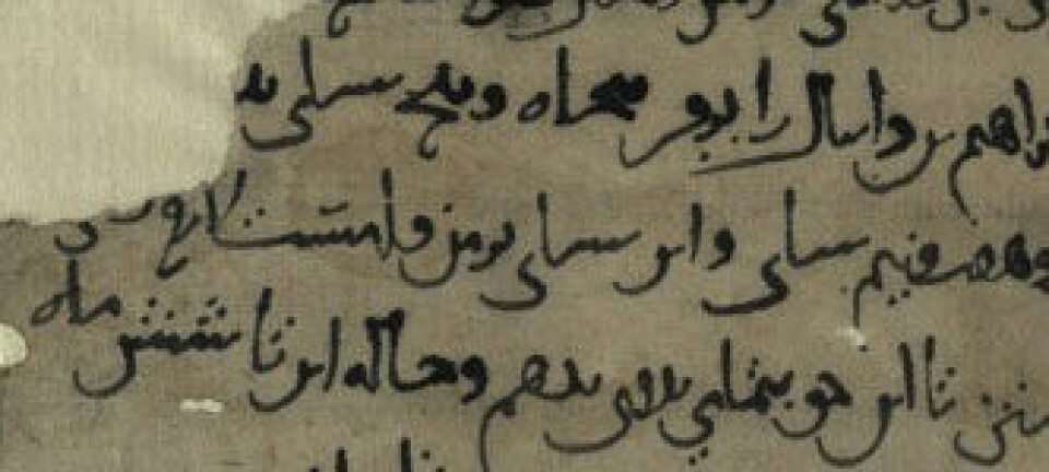 Dette lovdokumentet i judeo-persisk frå år 1005 er blant dokumenta som er oppdaga i ei hole i Afghanistan. Israel National Library