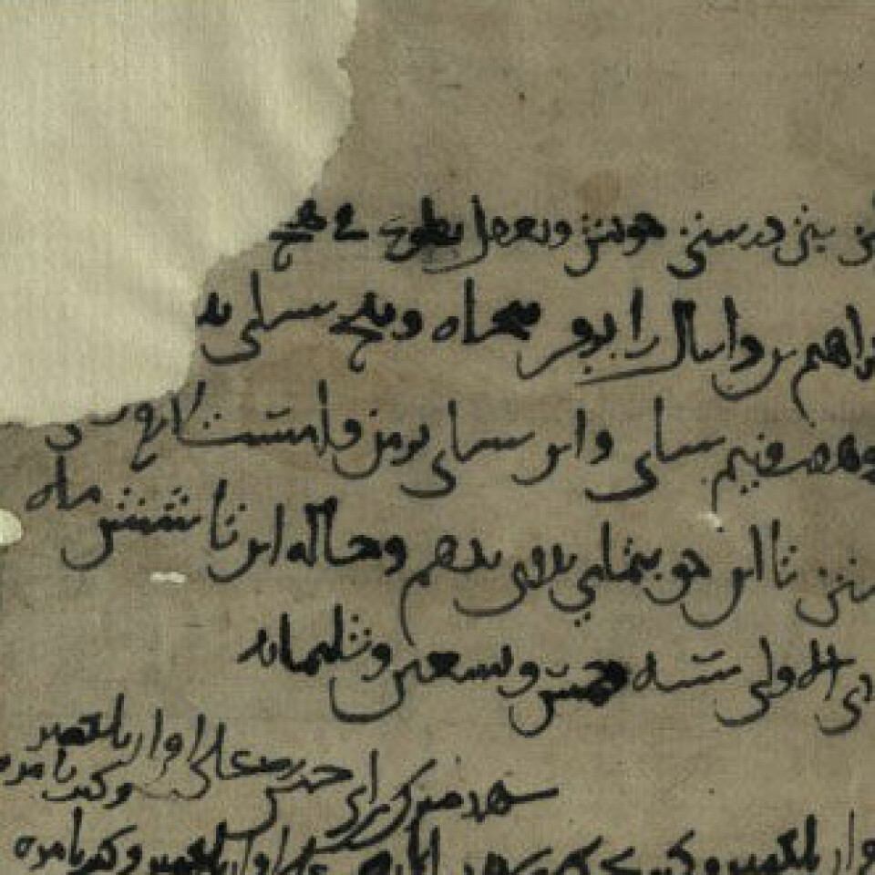 Dette lovdokumentet i judeo-persisk frå år 1005 er blant dokumenta som er oppdaga i ei hole i Afghanistan. (Foto: Israel National Library)