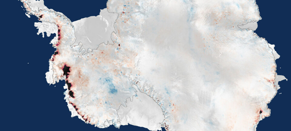 Tre års målinger fra CryoSat-satellitten viser at islaget over Antarktis nå mister 159 milliarder tonn is årlig, nok til å heve verdenshavene med 0,45 milliometer i året. (Figur: ESA)