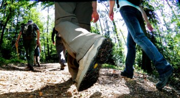 (Foto: Colourbox) (Foto: Colourbox)