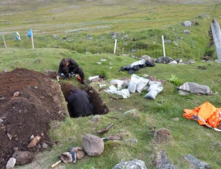 Utgraving i møddingen ved ruingruppe Ø35 på Grønland. Peter Steen Henriksen i hullet, samt arkeolog Caroline Polke Hansgaard. I en av prøveposene på kanten ligger de restene av bygg forskerne fant. (Foto: Inge Kjær Kristensen) Utgraving i møddingen ved ruingruppe Ø35 på Grønland. Peter Steen Henriksen i hullet, samt arkeolog Caroline Polke Hansgaard. I en av prøveposene på kanten ligger de restene av bygg forskerne fant. (Foto: Inge Kjær Kristensen)