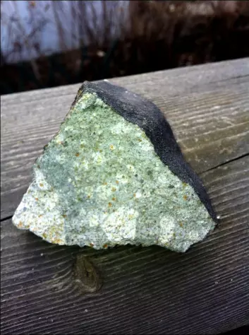 Slik ser meteoritten ut. Legg merke til den svidde utsiden og det spesielle utseendet på innsiden. (Foto: Rune Thomassen)