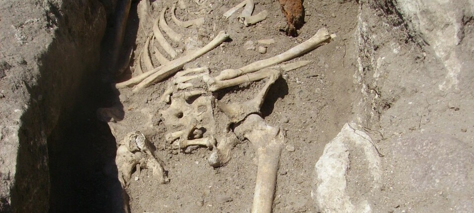 To skjeletter, funnet med jernstenger gjennom brystet, har fått bulgarske arkeologer til å tenke på vampyrer. National Museum of History, Bulgaria