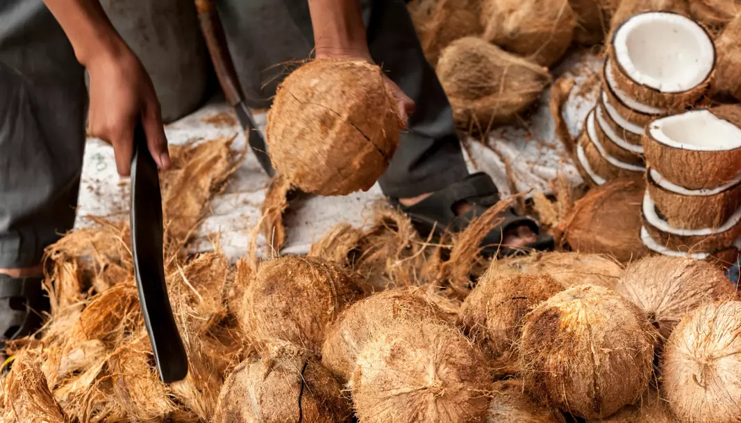 New research finds that coconut production threatens a lot more endangered species than initially thought.