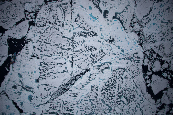 Havisdekke nord for Svalbard om sommeren. Smeltedammene er mørke eller lyseblå fordi de absorberer og slipper gjennom mer stråling enn hvit is og snø, dvs. at de reflekterer mindre lys. Forskningsskipet RV Lance ses til venstre i bildet. (Foto: Norsk Polarinstitutt) Havisdekke nord for Svalbard om sommeren. Smeltedammene er mørke eller lyseblå fordi de absorberer og slipper gjennom mer stråling enn hvit is og snø, dvs. at de reflekterer mindre lys. Forskningsskipet RV Lance ses til venstre i bildet. (Foto: Norsk Polarinstitutt)