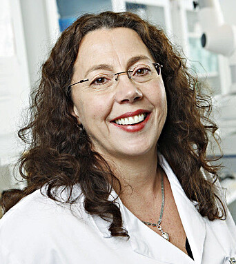 For decades, scientists have said the antibiotic problem is urgent. That it’s a crisis. That someone must soon cough up the money it costs to develop new antibiotics. Otherwise, people will die from something as common as a cut on their finger. Professor Marit Otterlei now hopes that the antibiotic she discovered can be developed for commercial use. For decades, scientists have said the antibiotic problem is urgent. That it’s a crisis. That someone must soon cough up the money it costs to develop new antibiotics. Otherwise, people will die from something as common as a cut on their finger. Professor Marit Otterlei now hopes that the antibiotic she discovered can be developed for commercial use.
